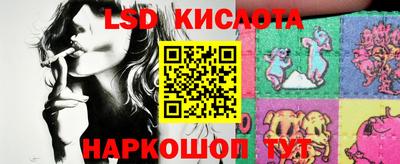СК Краснознаменск