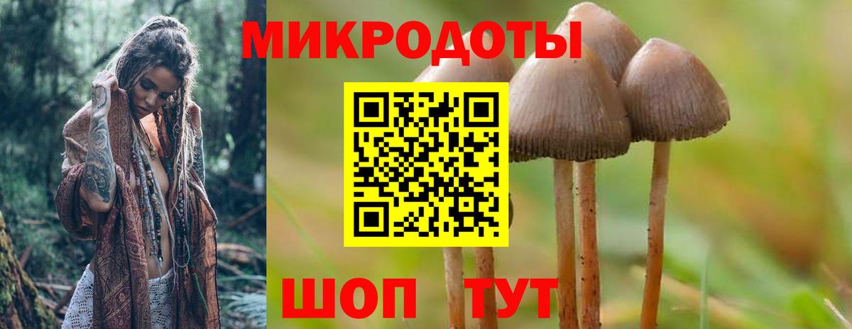 Псилоцибиновые грибы Magic Shrooms Елабуга